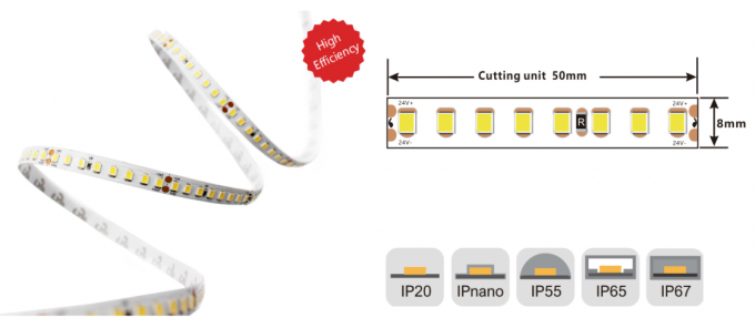 8mm 12W High Efficiency LED Strip 160LM/W Ra90 SMD2835 Led Strip 160LEDs