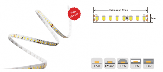 10mm 207lm/W High Efficiency LED Strip 9.6w/M Flexible 24v Led Strip Lights