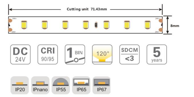 8mm SMD2835 Led Tape Lights 98Leds/M Flexible Led Strip Lights
