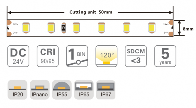 High Quality SMD2835 120 LEDs Flexible LED Strip 8mm 24V RA90 Led Tape Light