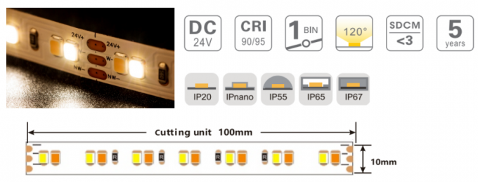 SMD 2835 CCT Tunable Flexible LED Strip 8mm 24V Dual White LED Strip Lights