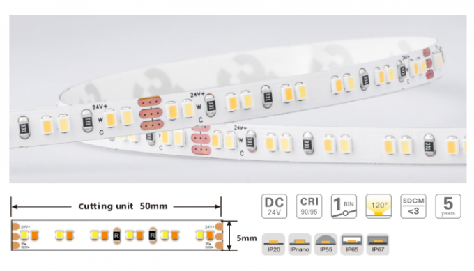 24V Color Temperature Adjustable LED Strip 2700 - 6000K SMD2216 240 LEDs/M 9.6W