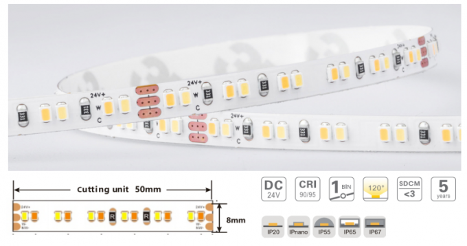 5mm 8mm Adjustable color Temperature LED Strip SMD2216 240 LEDs/m 16.2W