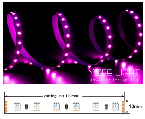 10mm 5m rGB Led Strip Lights 24V 60LEDs/M 14.4W LED Tape Colour Changing