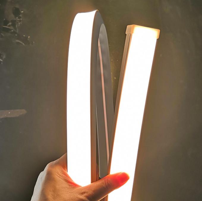 30*20mm Flexible Silicone Neon Strip IP67 24V LED Neon Light Outdoor Lighting 2